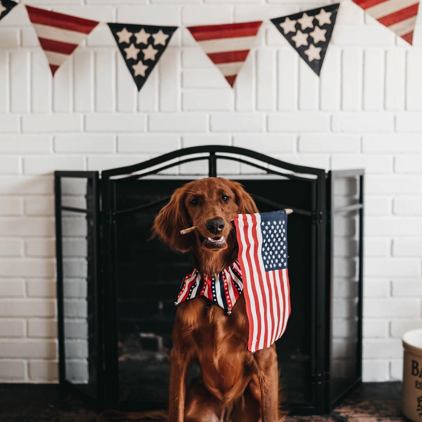 Calling all patriotic pups!  We are excited to partner with @capemaystrong as a sponsor for their Patriotic Pet Virtual Contest, in honor of the 4th of July!
.
Enter to win fun prizes! Here’s how to participate:
.
Dress up your pet for a patriotic picture.
? Take a picture or 15 second video.
Submit your photo or video by posting it on Facebook or Instagram and tagging it with #cmpatrioticpet, or submit via email to capemaycontest@gmail.com.
Entries must be posted or emailed by midnight on Saturday, July 4.
.
Follow @capemaystrong and visit their website to learn more about the events they have planned for their Olde Fashioned Fourth of July Celebration.
.
We wish everyone a happy and healthy holiday!
.
.
.
.
.
.
.
.
.
.
.