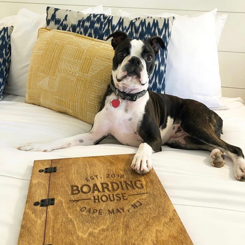 Our beds are the comfiest around ? - approved by pups and humans alike!
.
Save on your midweek stay this September and early October with our “Far Out Fall” special. Link in bio to book!
.
?: @nanaaaa_77
.
.
.
.
.
.
.
.
.
.
.