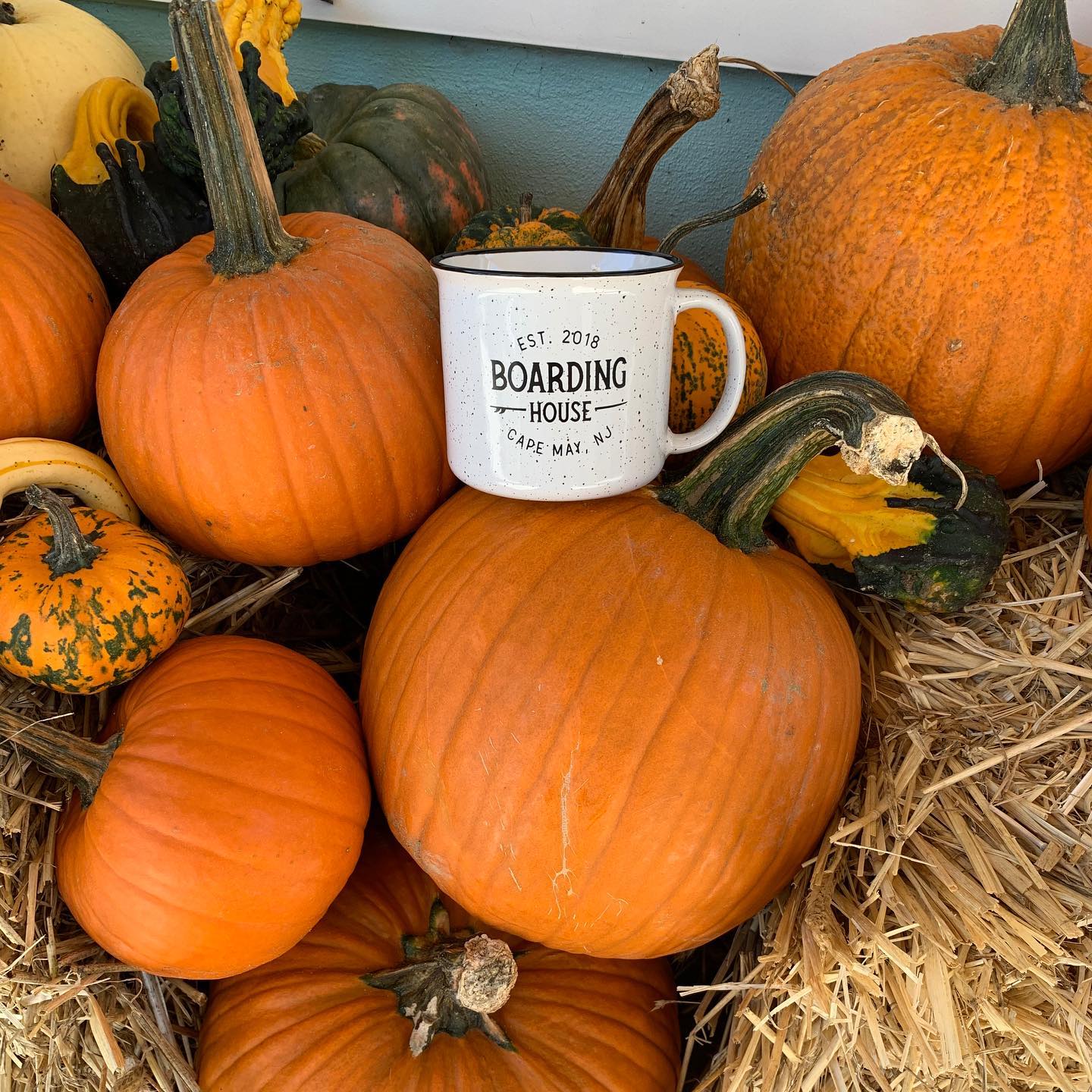 October is behind us and it’s 70 and sunny in Cape May, but it’s still pumpkin season! ? Book your November stay at the Boarding House and save with our weekend special:
.
Book 2 nights and save 10%
Book 3 nights and save 20%!
.
We are currently open Thursday through Sunday, and this special is available for the next two weekends (11/12-11/14 and 11/19-11/21).
.
Book on our website today. Link in bio!
.
For dog-friendly accommodations, please call 609-884-4884.
.
.
.
.
.
.
.
.
.
.
.