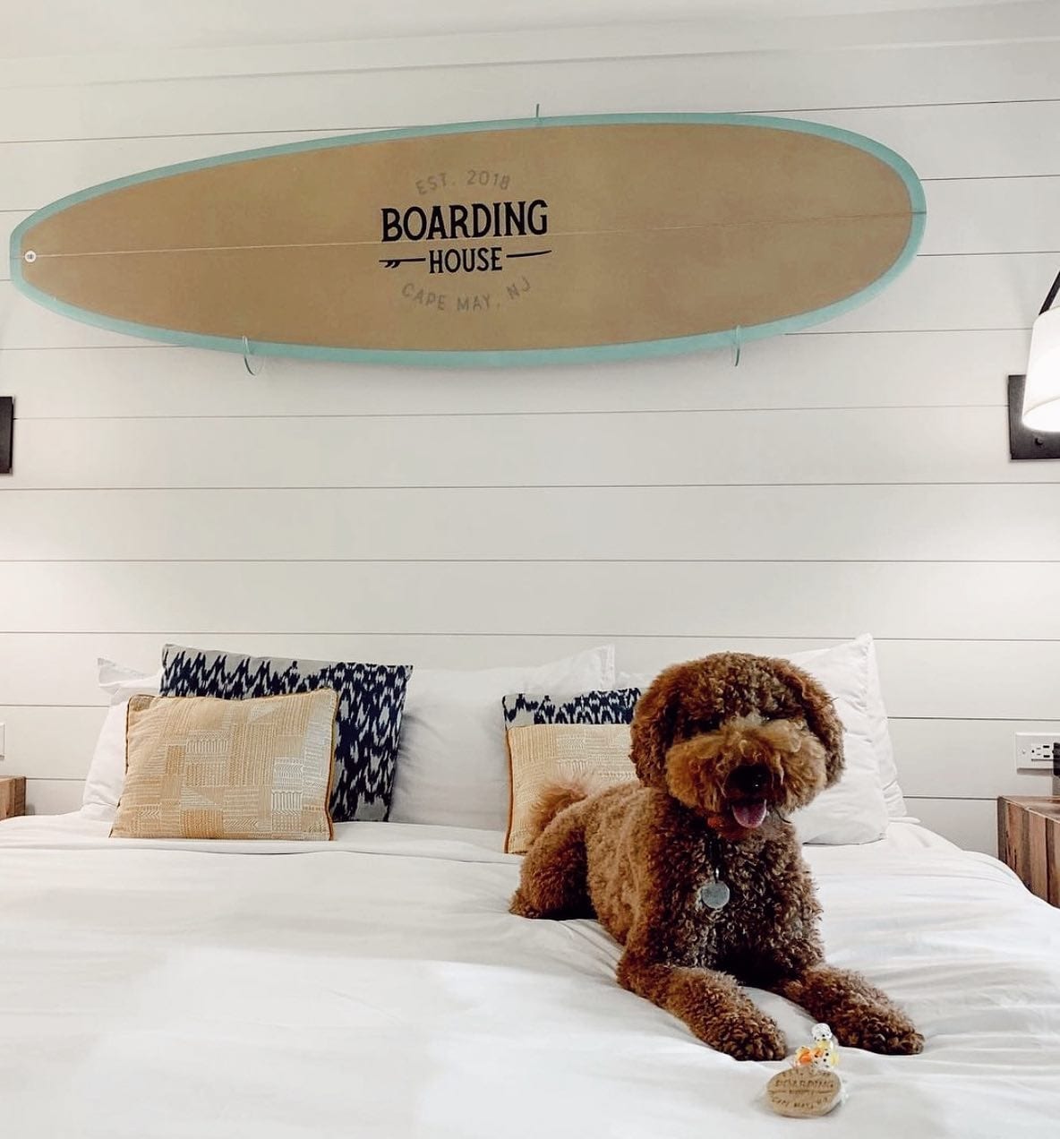 Sit, stay, & play at the Boarding House  / / Consistently voted “two paws up” by our four-legged guests!To make dog-friendly reservations, please give us a call at 609.884.4884.?: @its_bentlee_and_bella
.
.
.